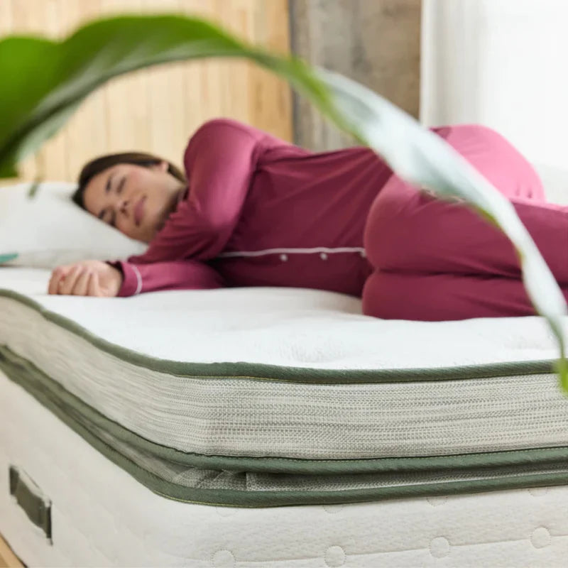 Avocado Green Mattress Box-Top Plush