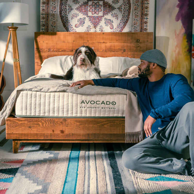 Avocado Eco Organic Latex Hybrid Mattress